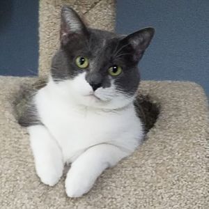 Meet your Posher, Shawna